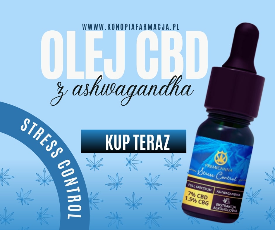 Gdzie kupić olejki CBD? Certyfikowane i oryginalne CBD